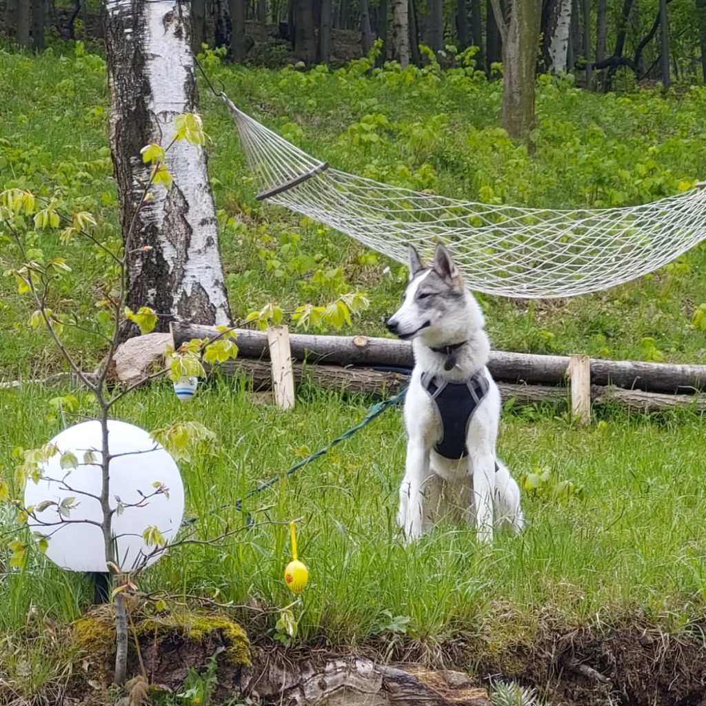 3a03d5aa-e114-4635-a148-e429254cf4ae