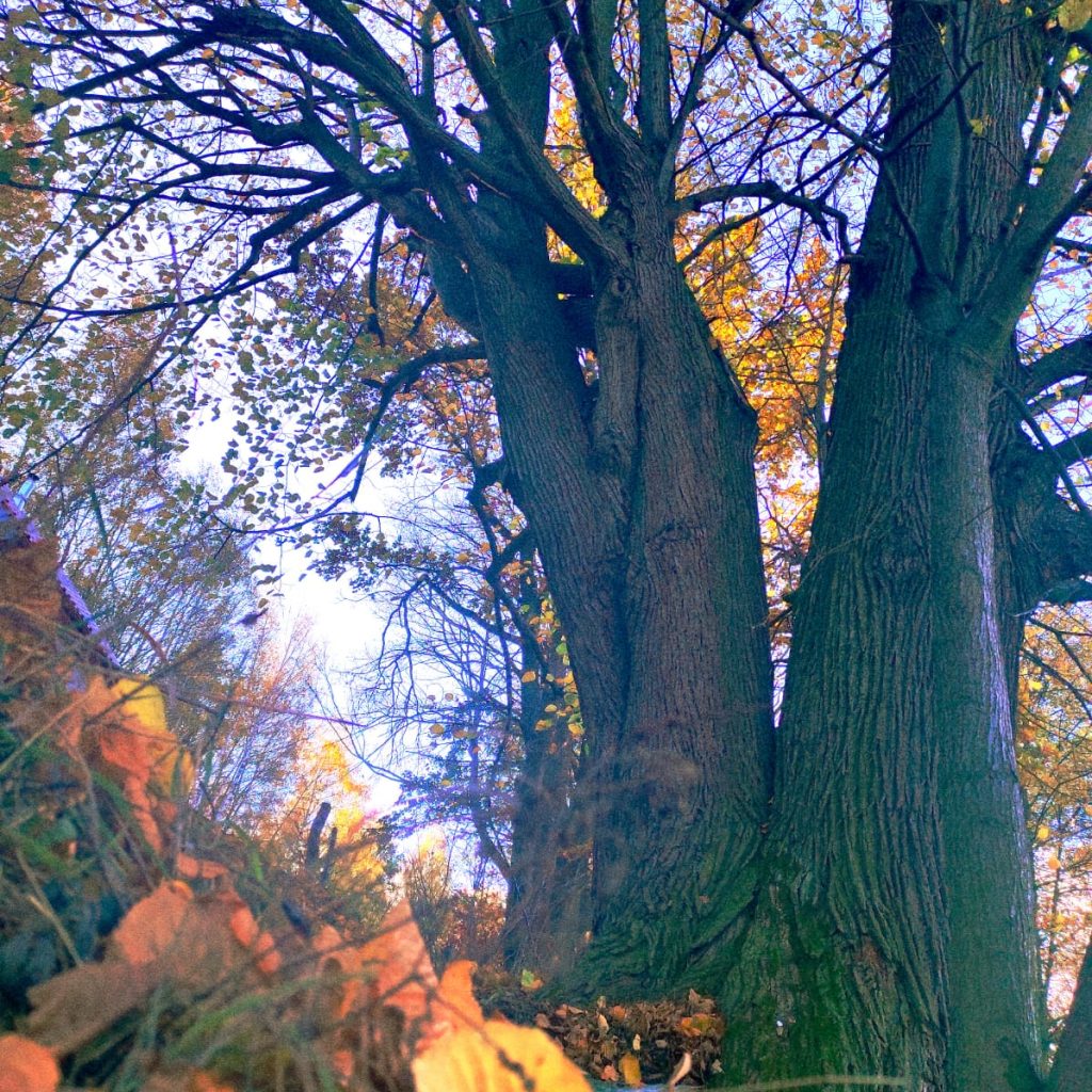 WhatsApp Image 2024-02-11 at 15.35.07