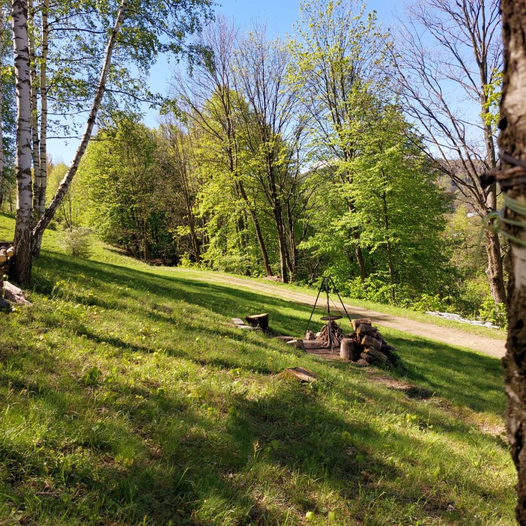 WhatsApp Image 2024-04-30 at 18.01.41