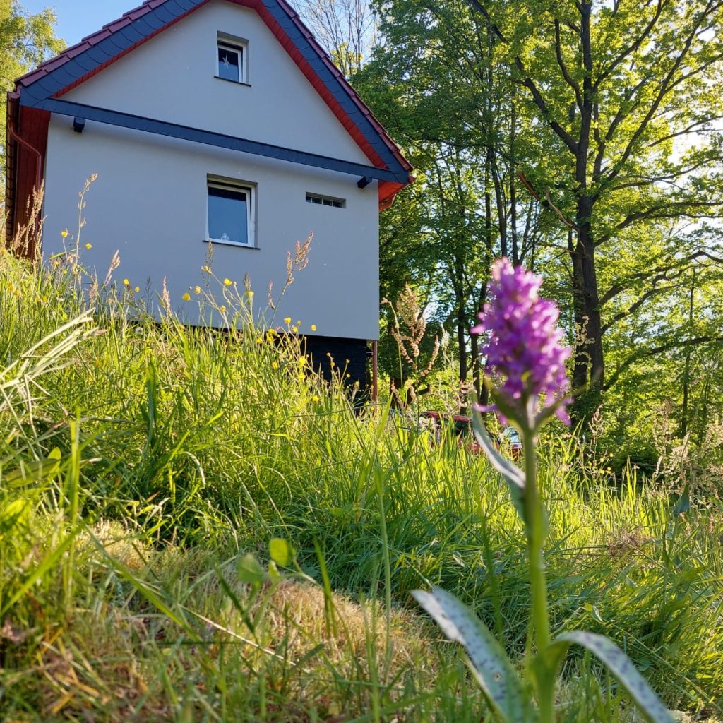 b4eec277-d814-4284-b757-8d7fbc45b6fa