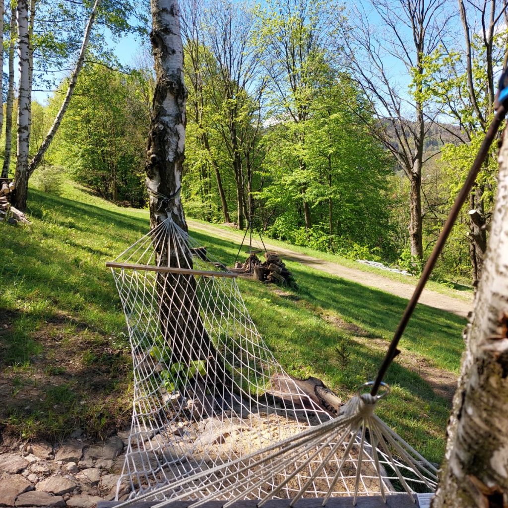 d84e29bf-a94c-4643-a77e-140e71b5aa9e